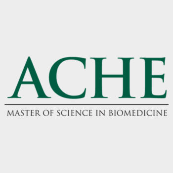 ACHE - Adult Ultimate Cotton® Pullover Hooded Sweatshirt Design
