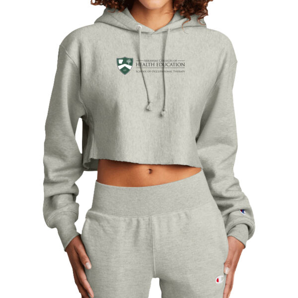 Adult Ultimate Cotton® Pullover Hooded Sweatshirt Thumbnail